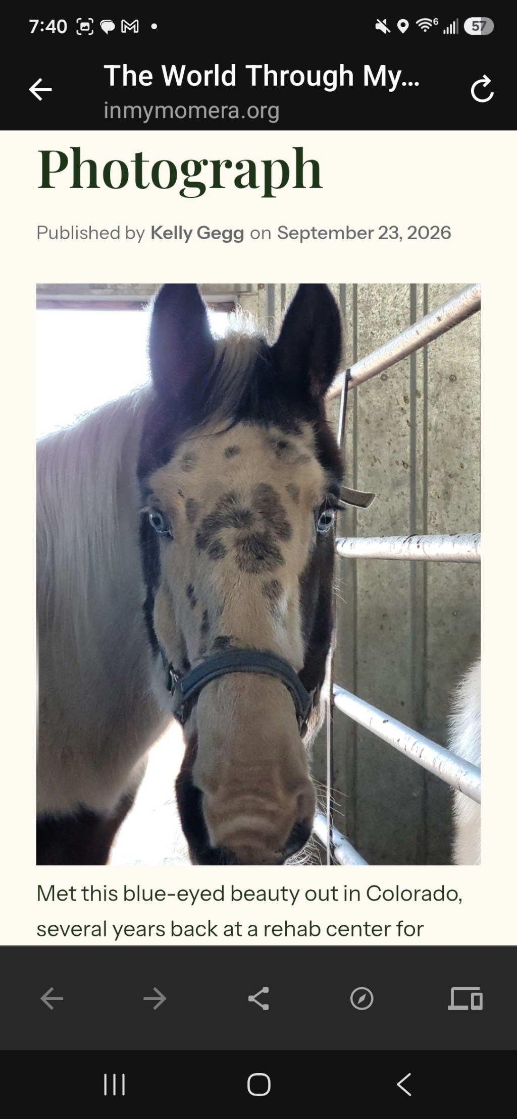 The World Through My Lens: Every Animal Deserves a&nbsp;Photograph