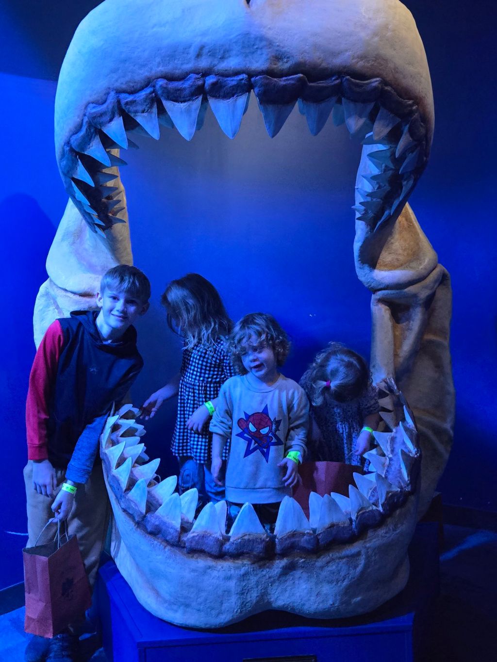 Pirates & Pumpkins at the St. Louis Aquarium: Spooktacular Family&nbsp;Fun!
